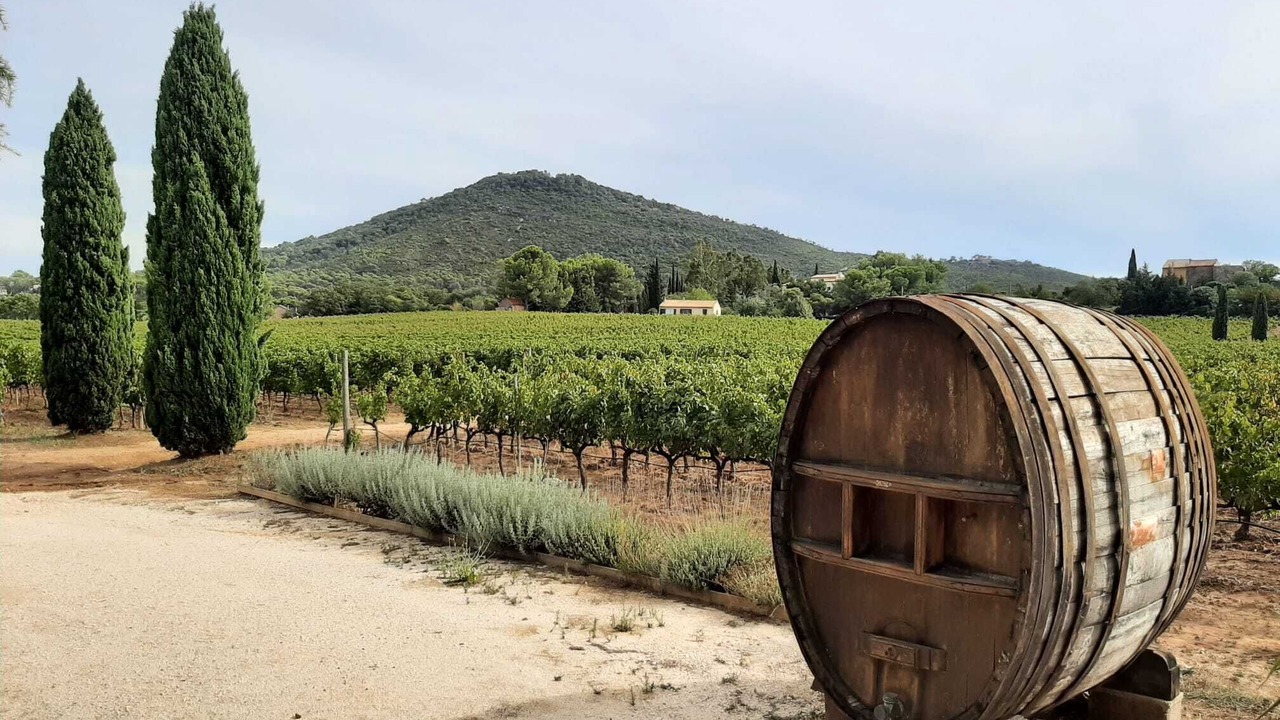 Photo of Outdoor in Le Pradet