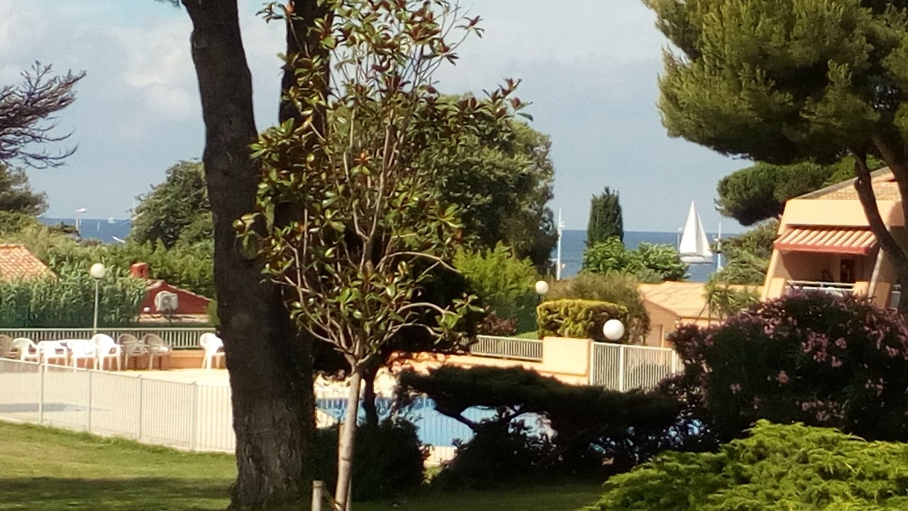 Photo of Outdoor in Le Pradet