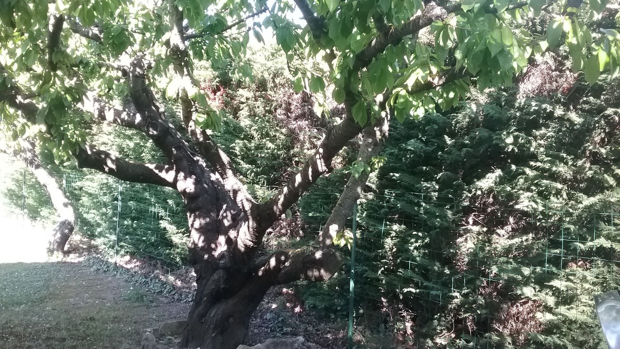 Photo of Outdoor in L'Isle-sur-la-Sorgue