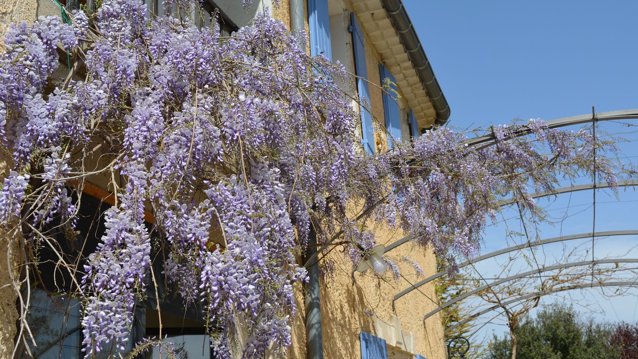 Photo of Outdoor in L'Isle-sur-la-Sorgue
