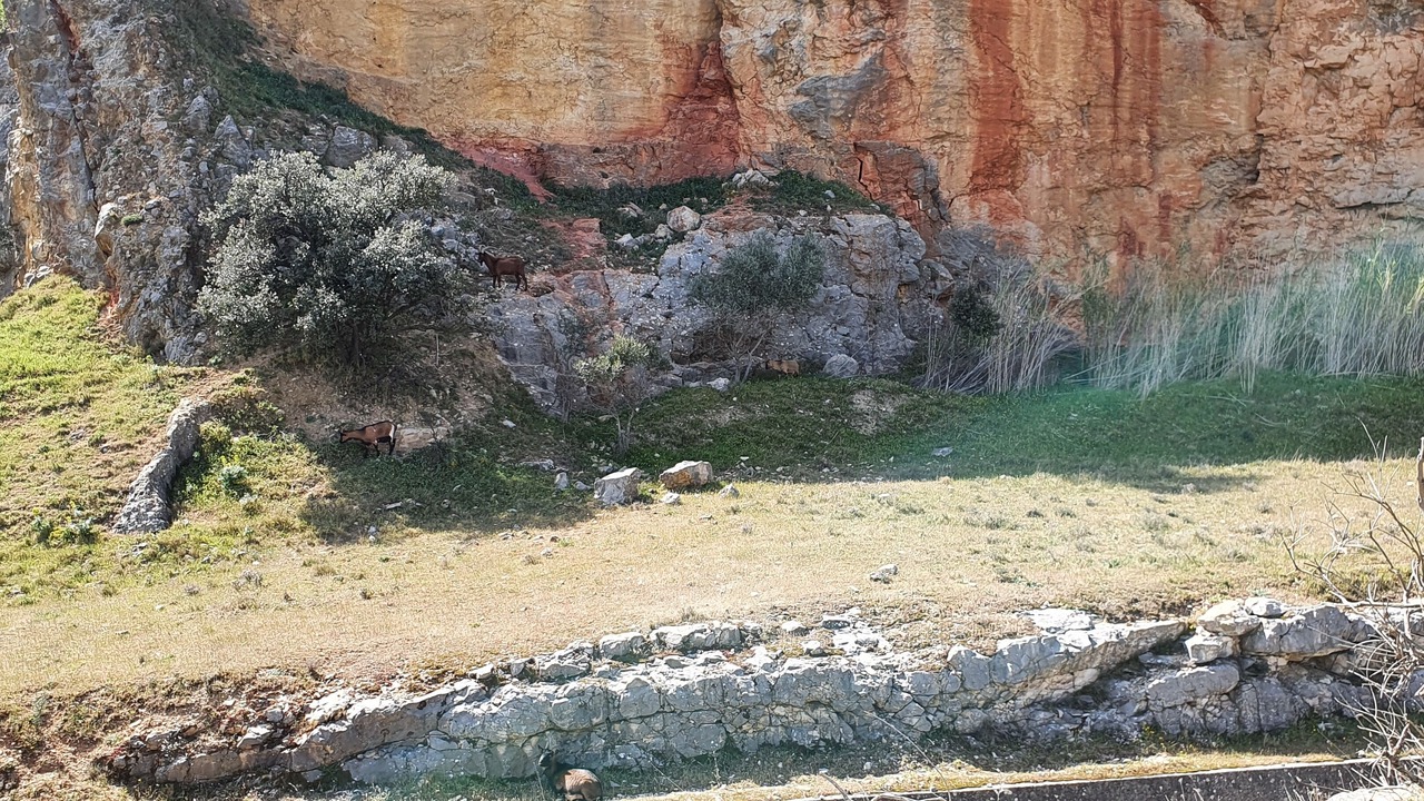 Photo of Outdoor in Comps