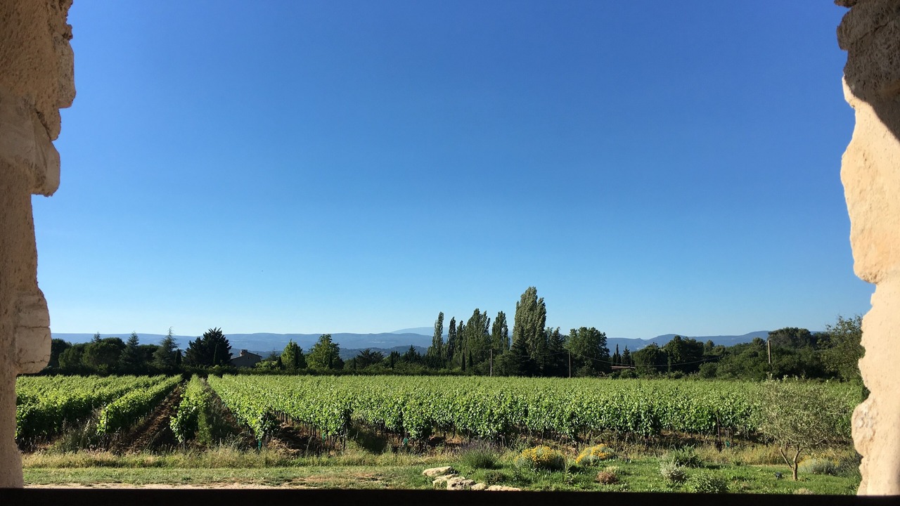 Photo of Outdoor in Bonnieux
