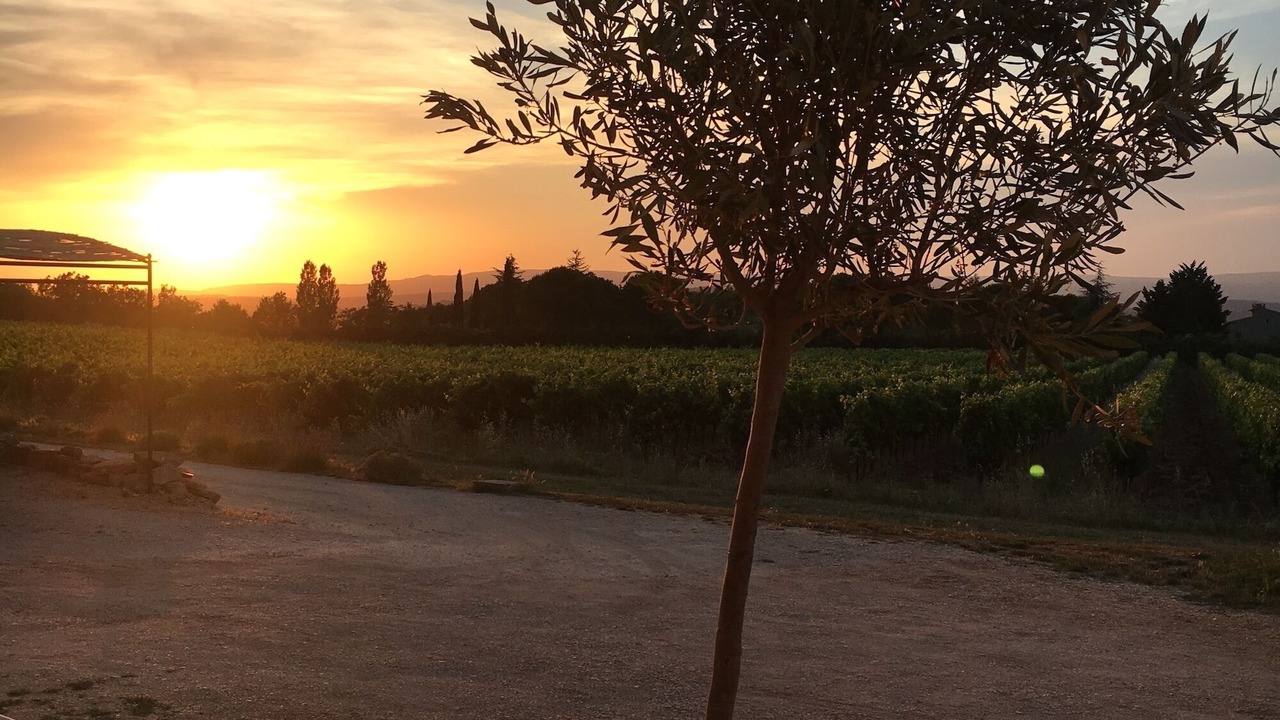 Photo of Outdoor in Bonnieux