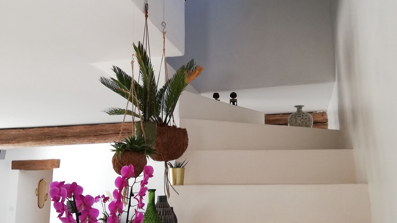 Photo of Others in Saint-Saturnin-les-Apt