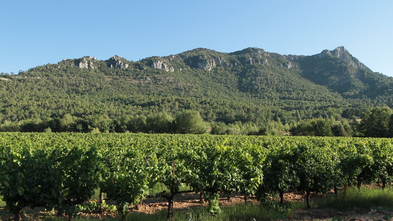 Photo of Outdoor in La Celle