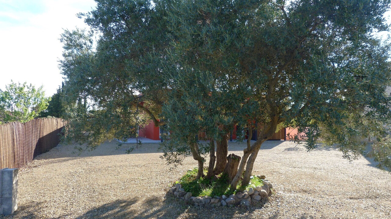 Photo of Outdoor in Valensole