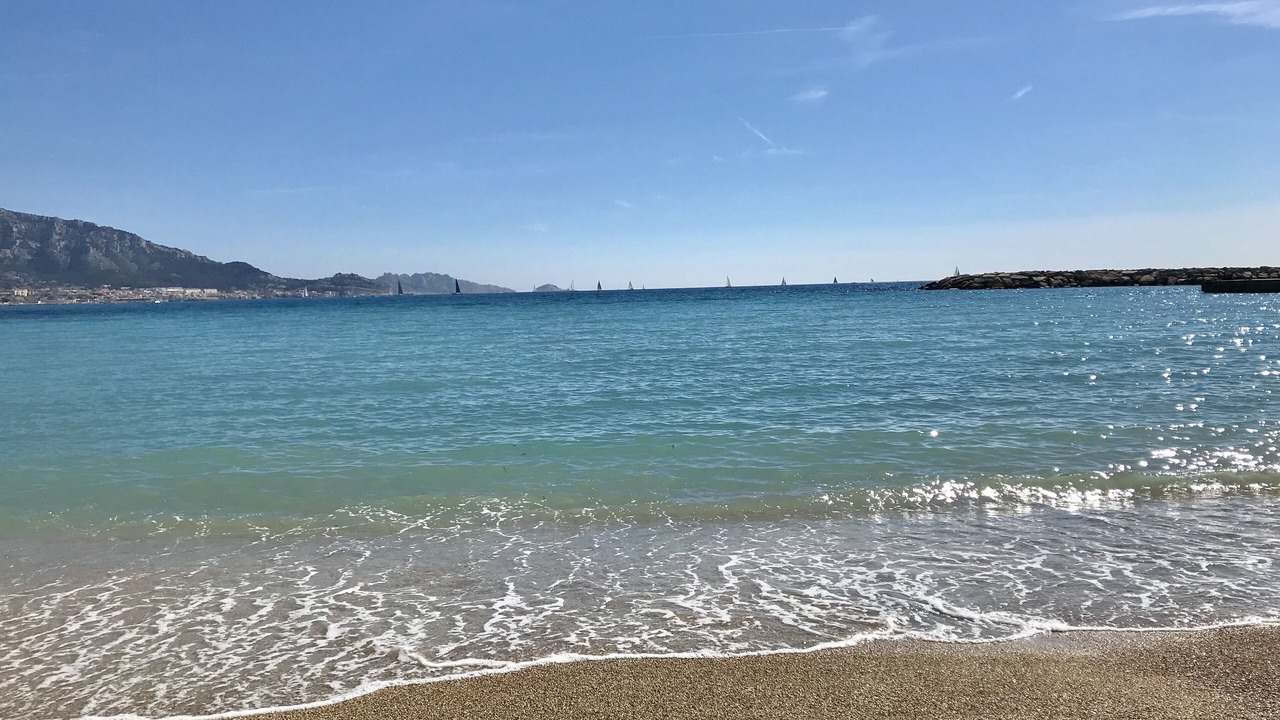 Photo of Others in La Plage