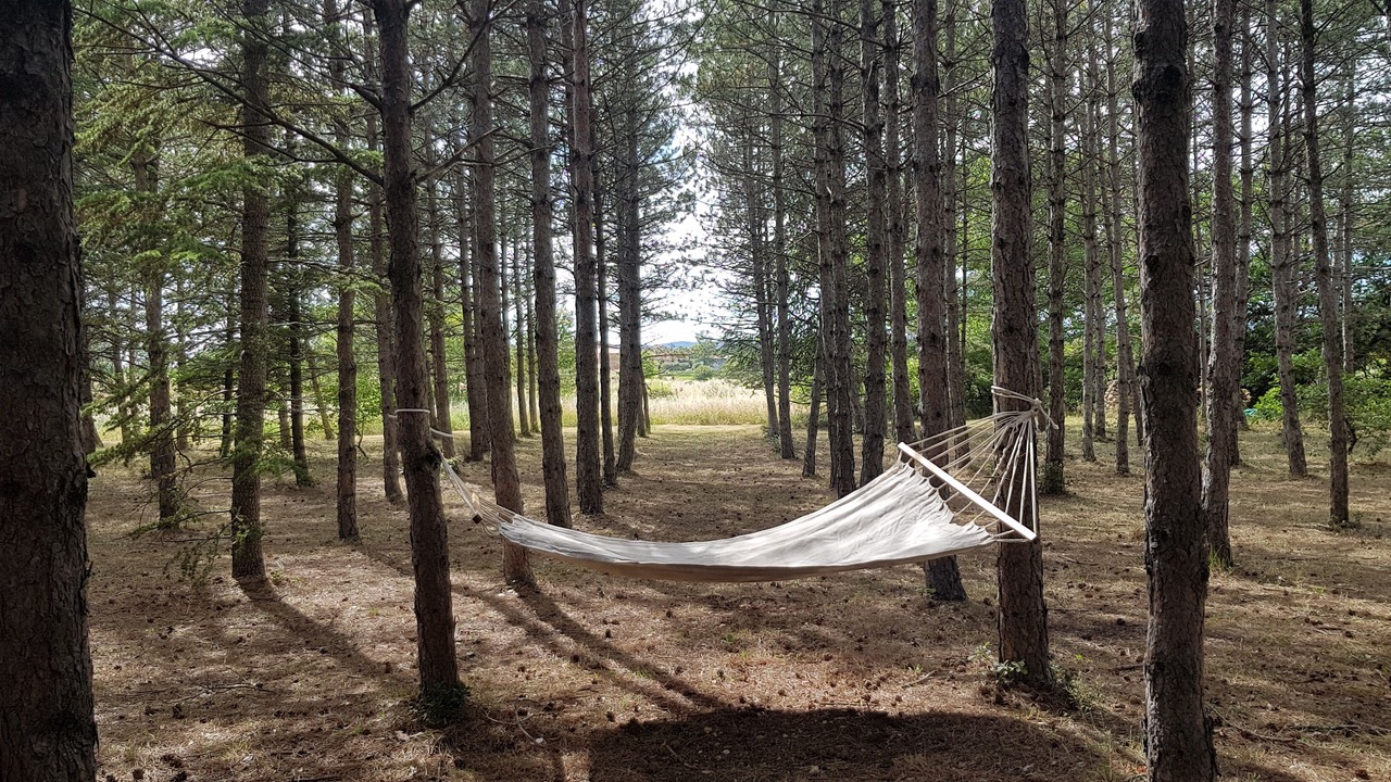 Photo of Outdoor in Roussillon