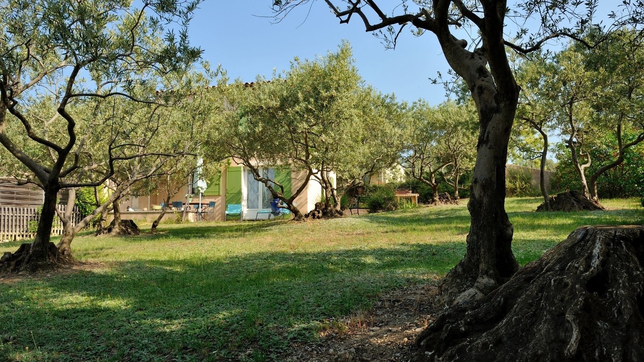 Photo of Outdoor in Bedoin