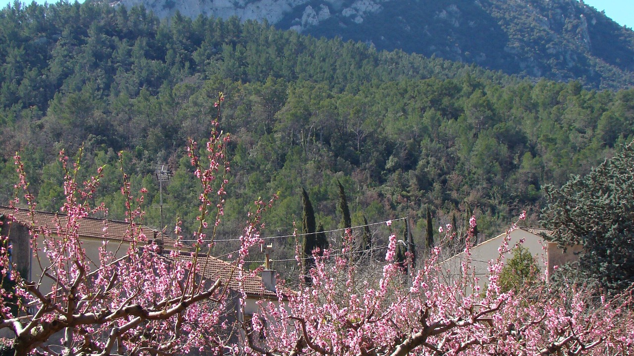 Photo of Outdoor in Les Censies