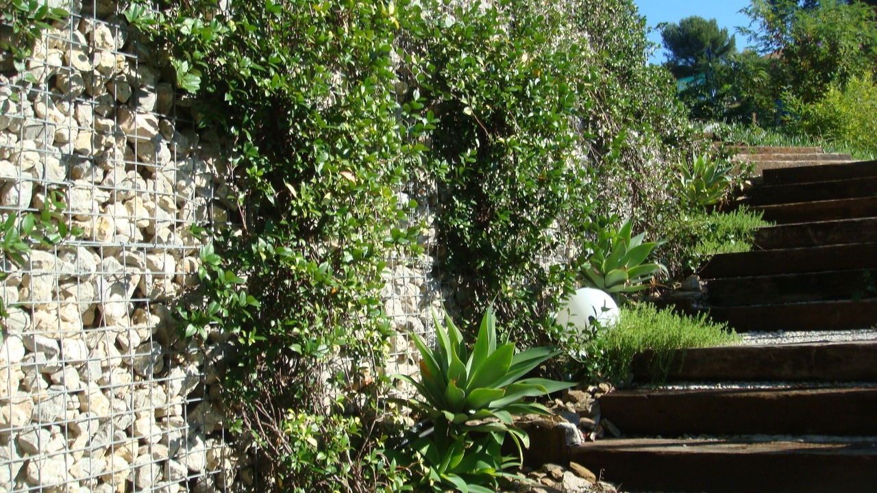 Photo of Outdoor in Le Rayol