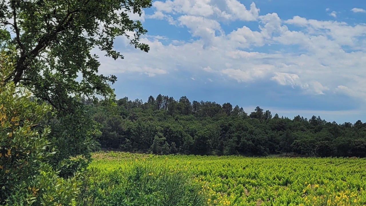 Photo of Others in Mondragon