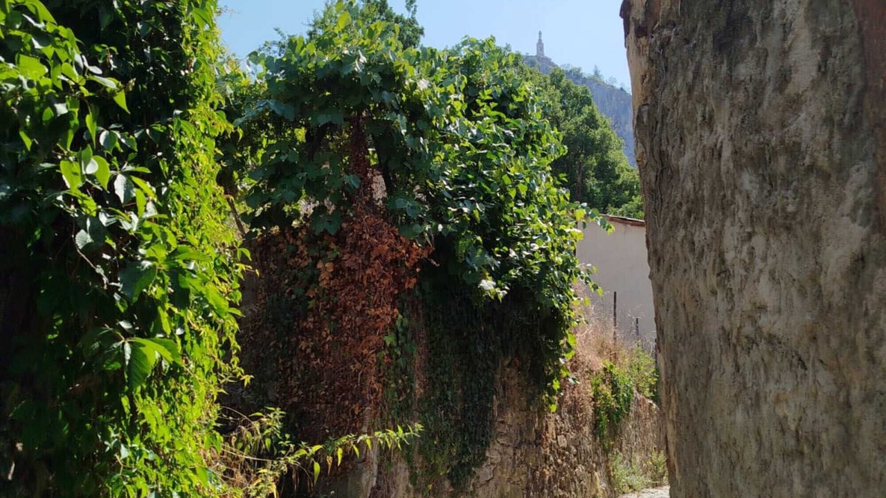 Photo of Outdoor in Castellane