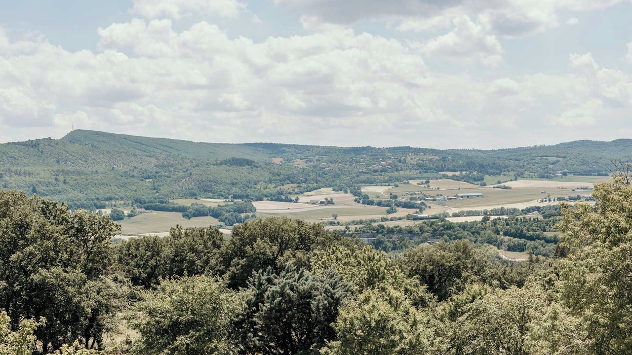 Photo of Others in Saint-Michel-l'Observatoire
