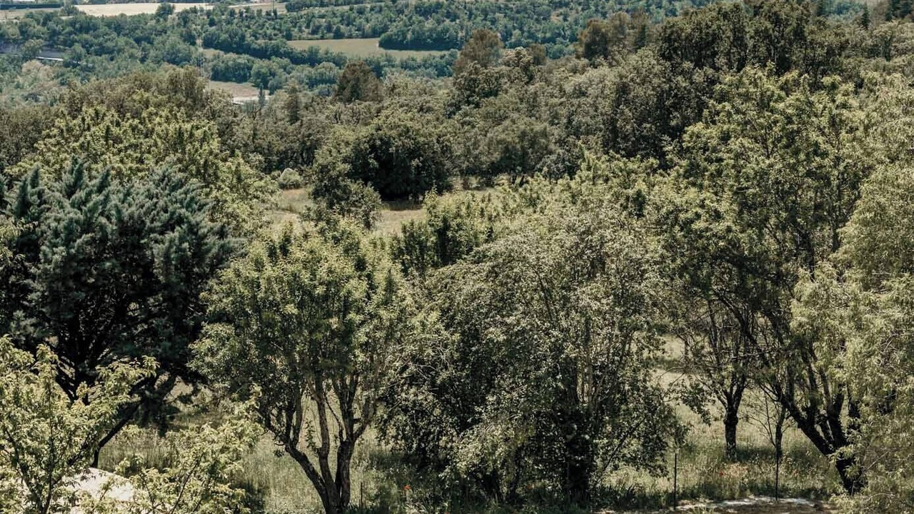 Photo of Outdoor in Saint-Michel-l'Observatoire