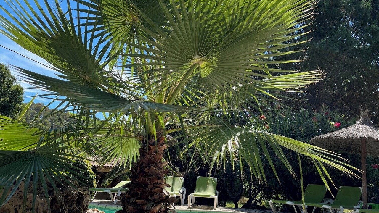 Photo of Outdoor in Trans-en-Provence