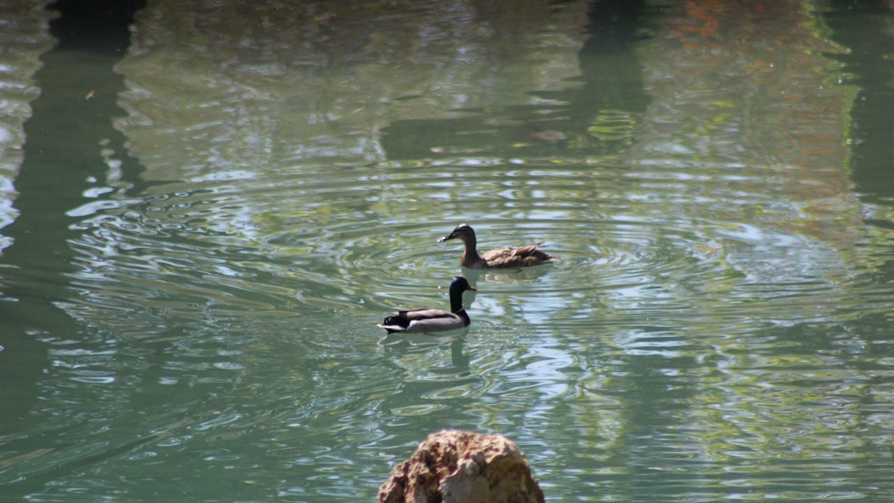 Photo of Others in Trans-en-Provence