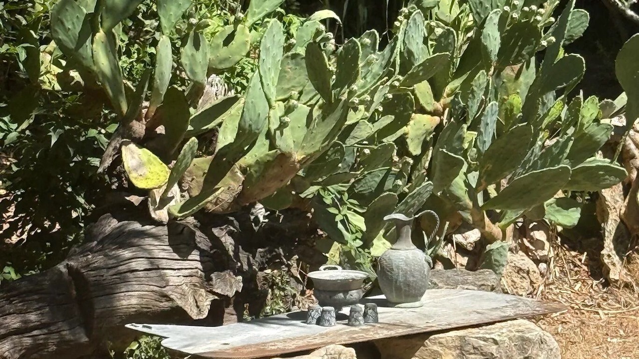 Photo of Outdoor in Trans-en-Provence