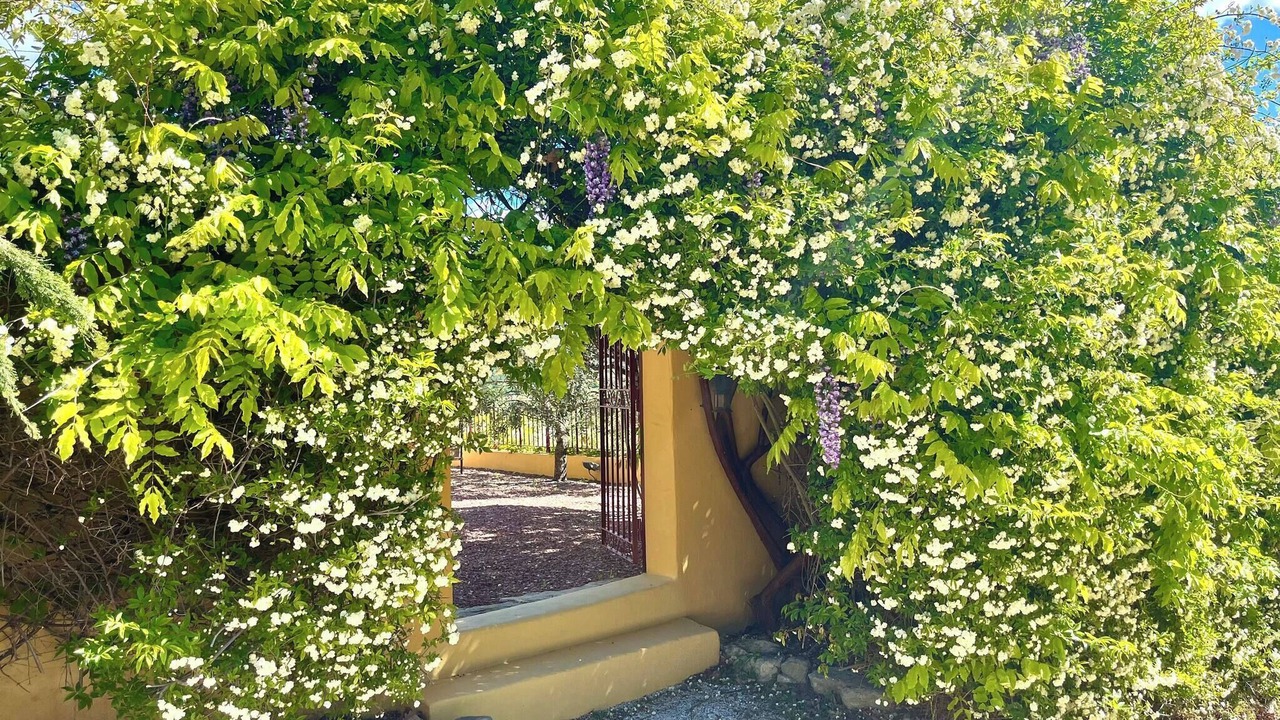 Photo of Outdoor in Gargas