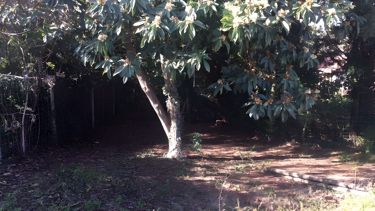 Photo of Outdoor in Vedene
