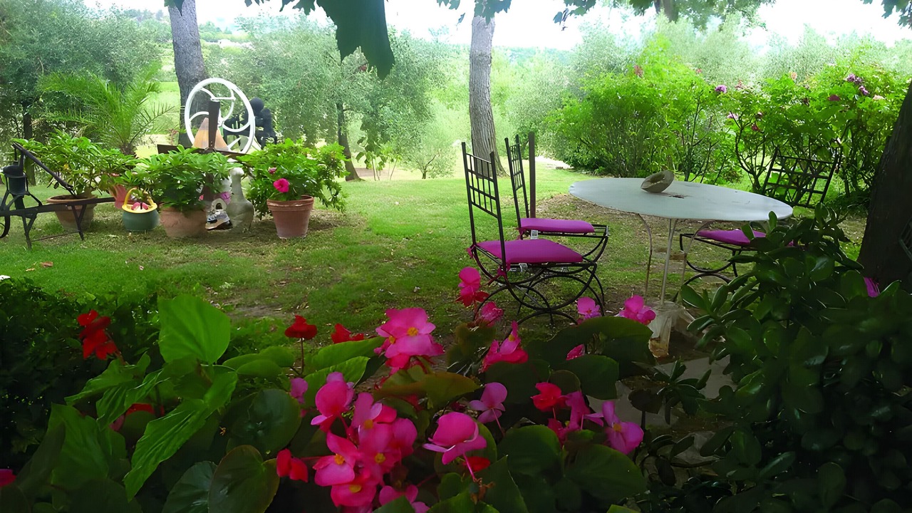 Photo of Outdoor in Visan