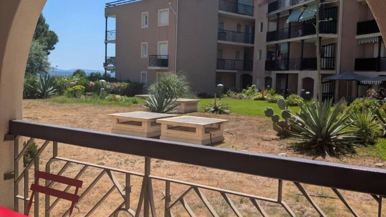 Photo of Outdoor in Miramar