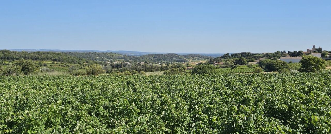 Photo of Others in Estezargues