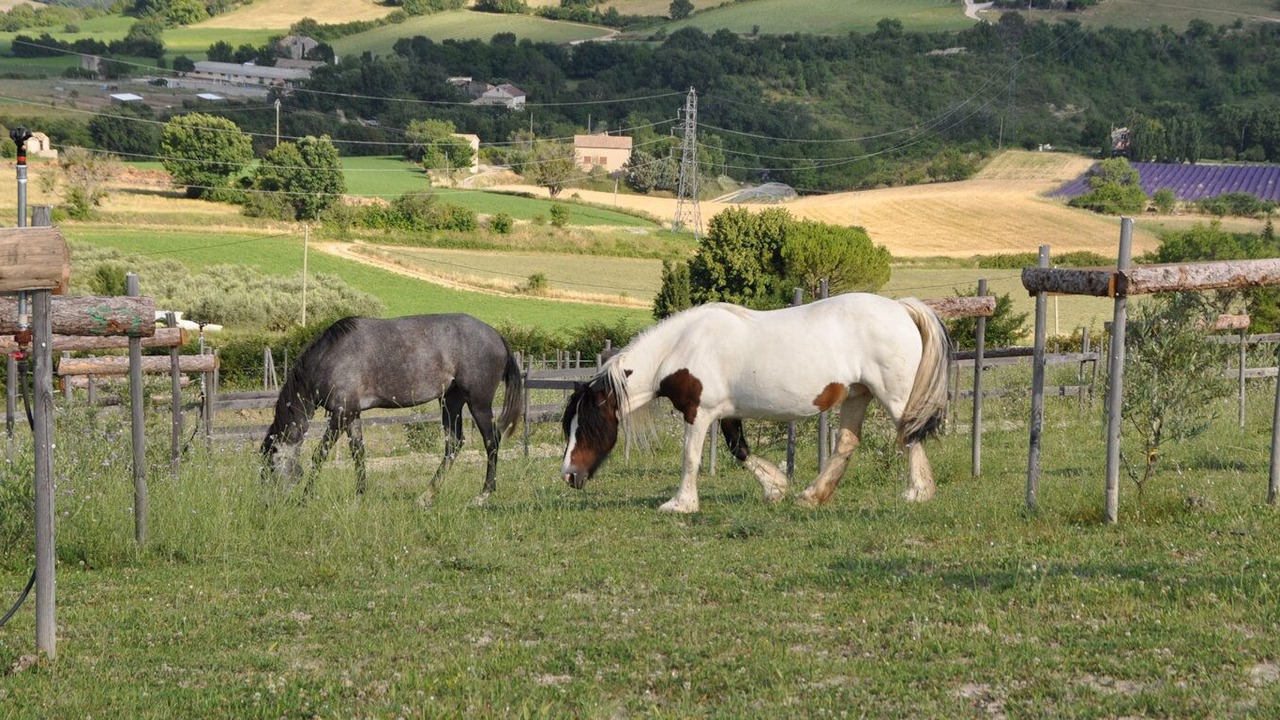 Photo of Others in Sisteron