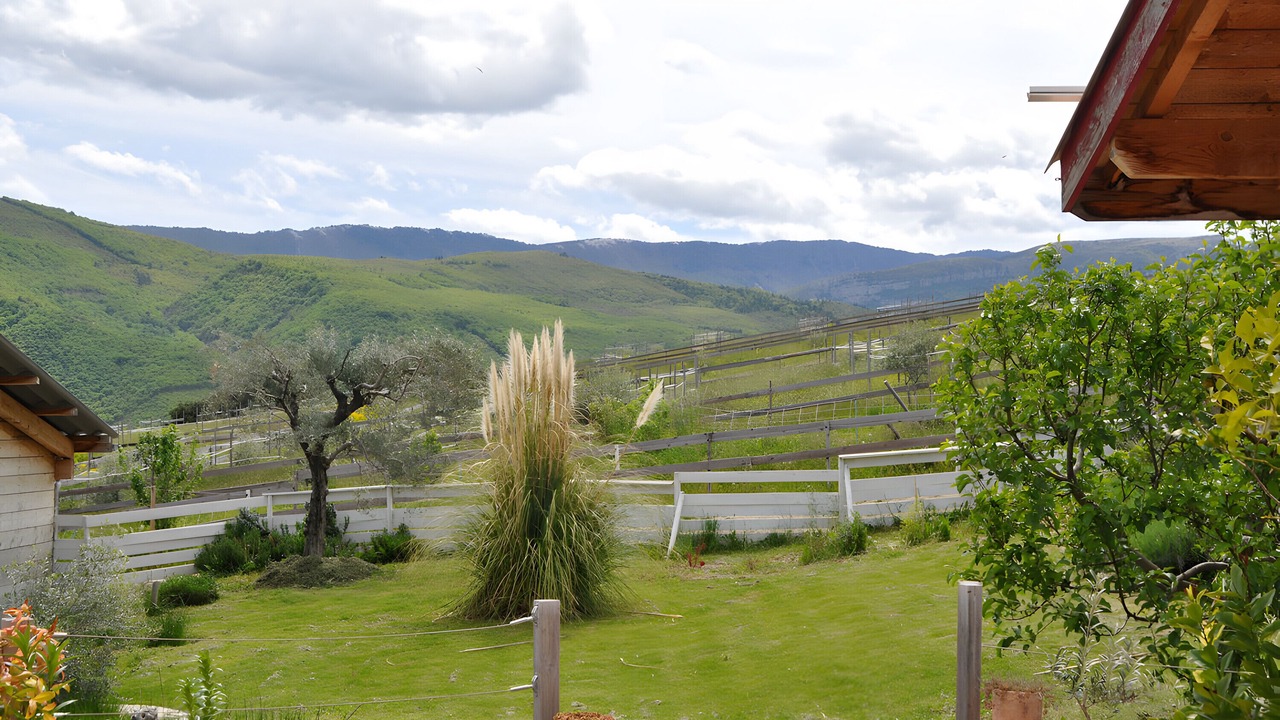 Photo of Outdoor in Sisteron