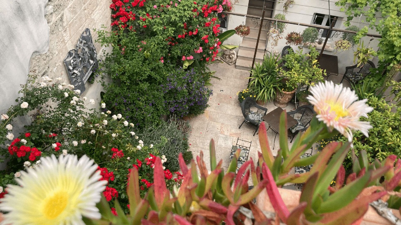 Photo of Outdoor in Avignon City Centre