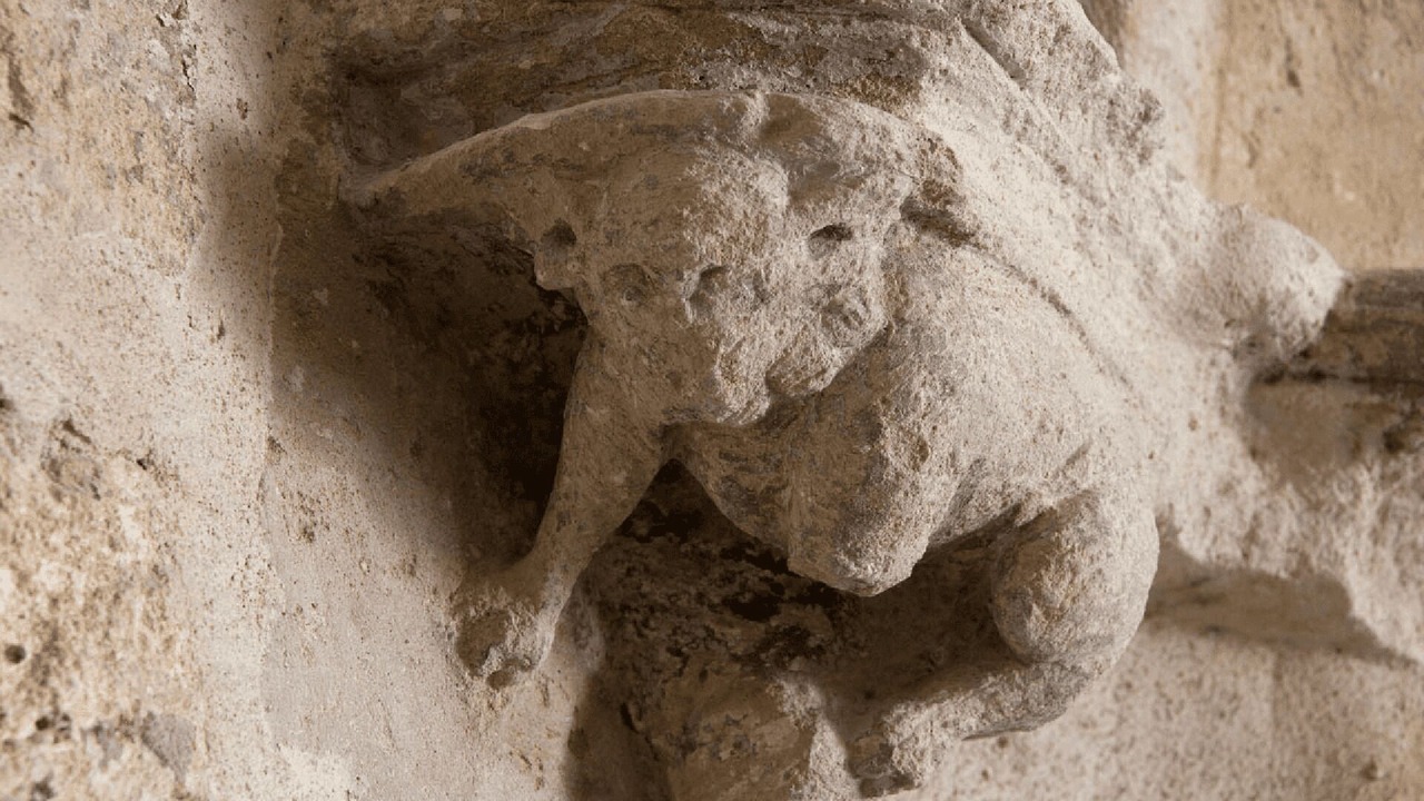 Photo of Others in Avignon City Centre