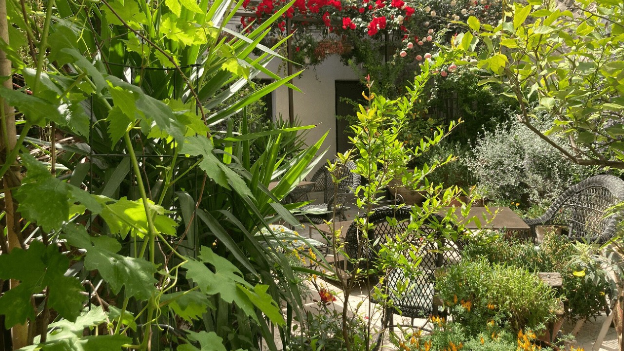 Photo of Patio Balcony in Avignon City Centre