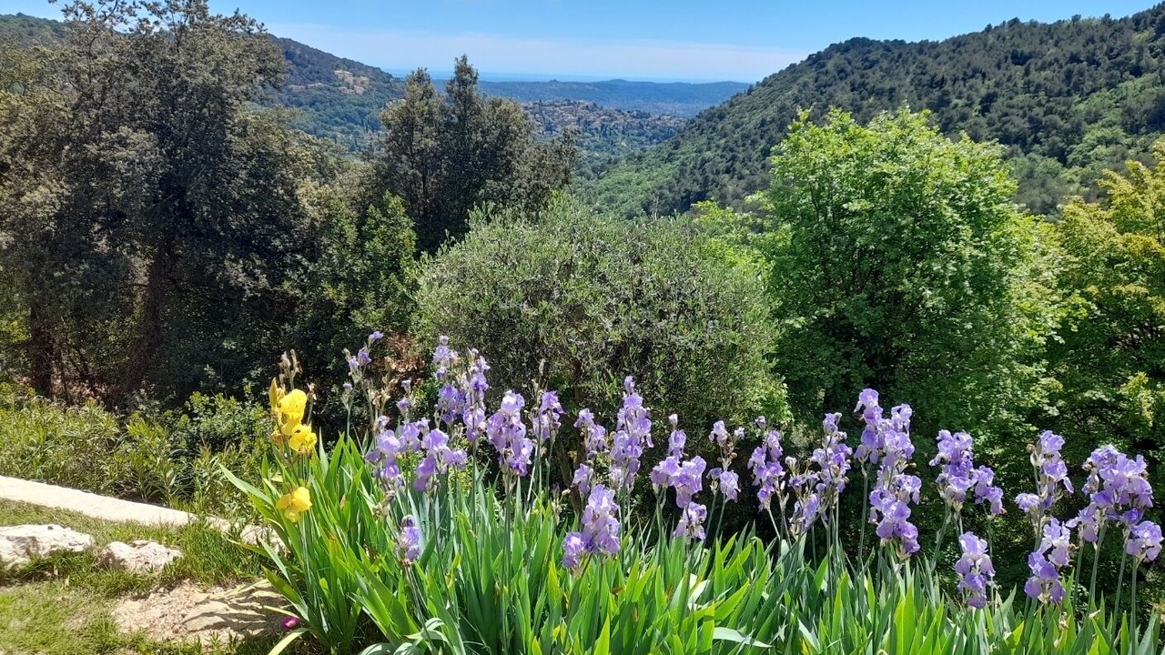 Photo of Outdoor in Saint-Vallier-de-Thiey
