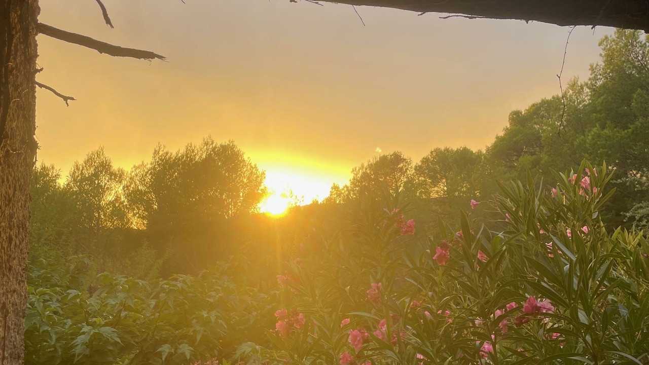 Photo of Outdoor in Gareoult