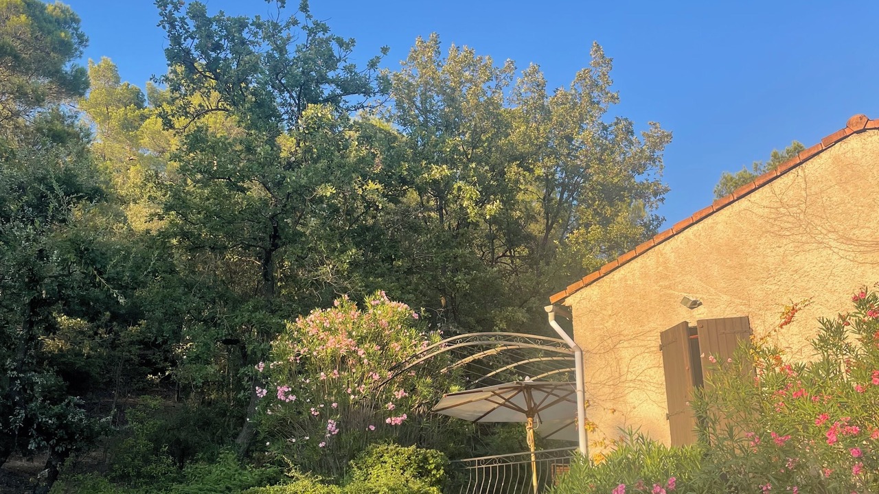 Photo of Outdoor in Gareoult