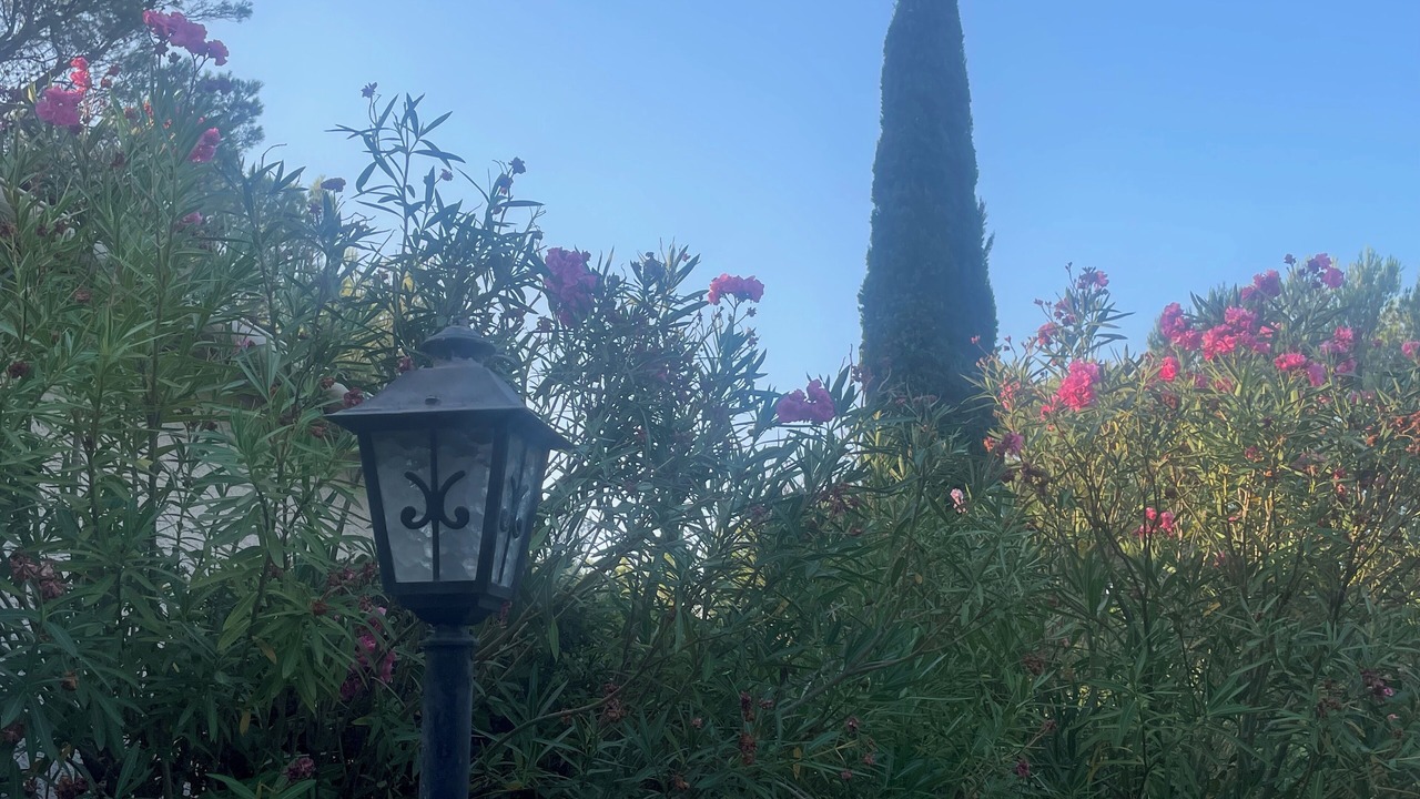 Photo of Outdoor in Gareoult