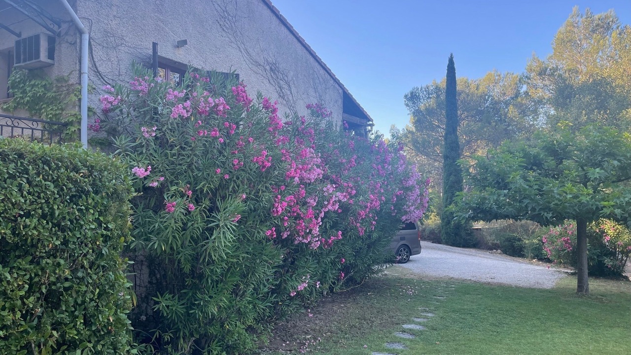 Photo of Outdoor in Gareoult