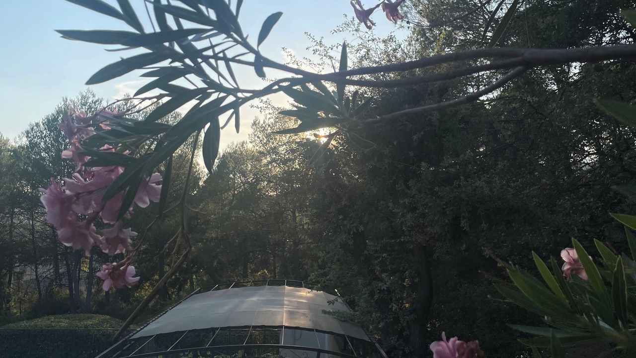 Photo of Outdoor in Gareoult
