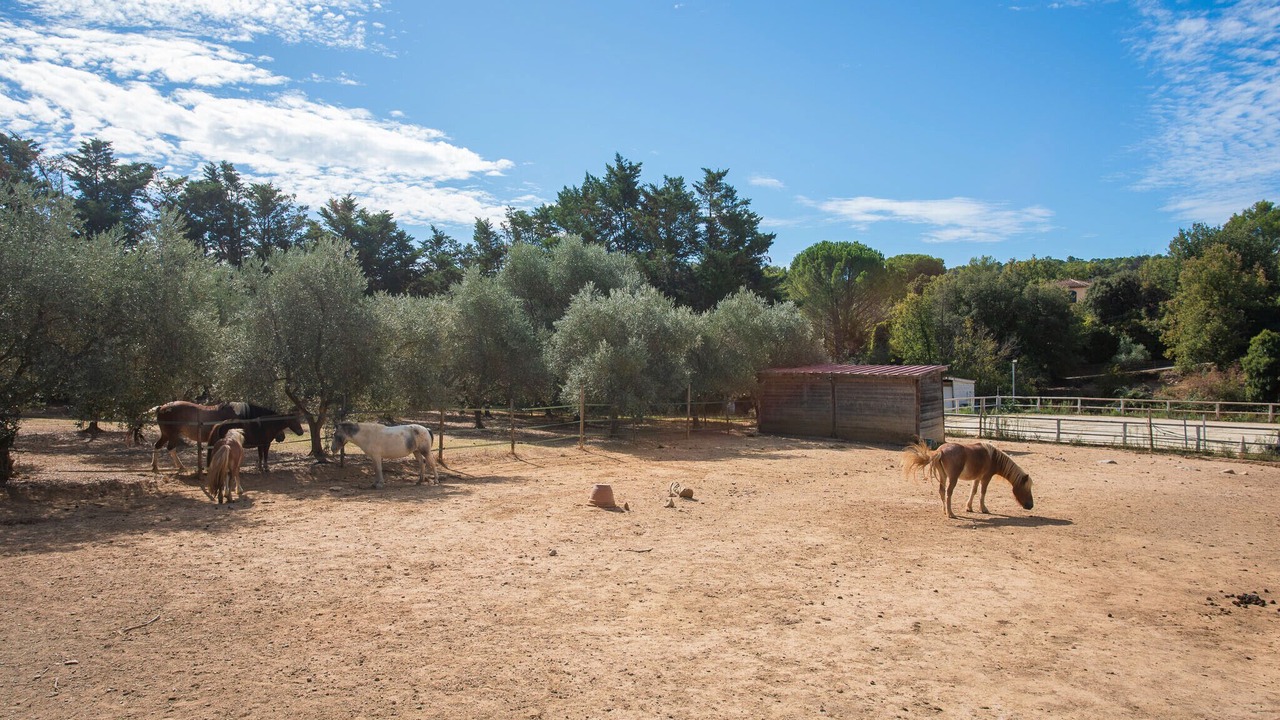 Photo of Others in Le Val