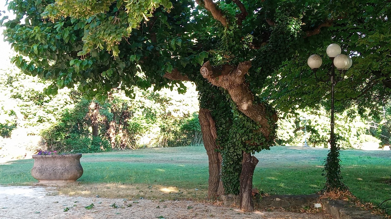 Photo of Outdoor in Brignoles