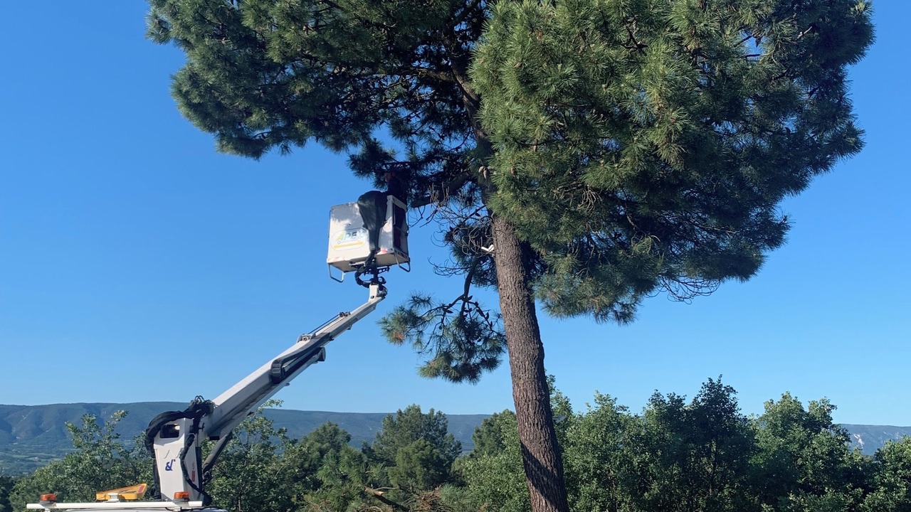 Photo of Others in Roussillon