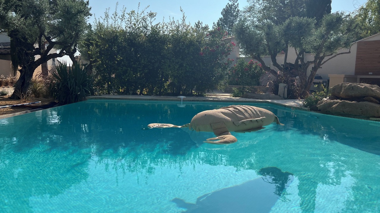 Photo of Outdoor in Modene