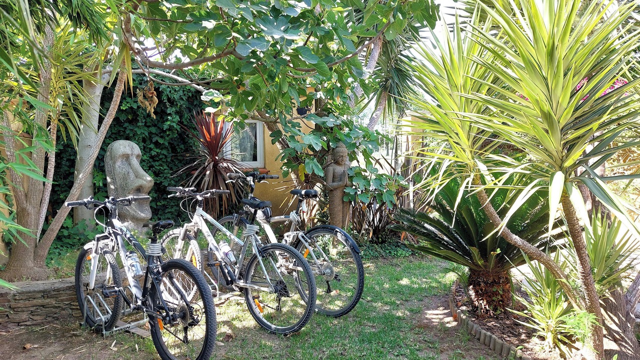 Photo of Outdoor in Les Bormettes