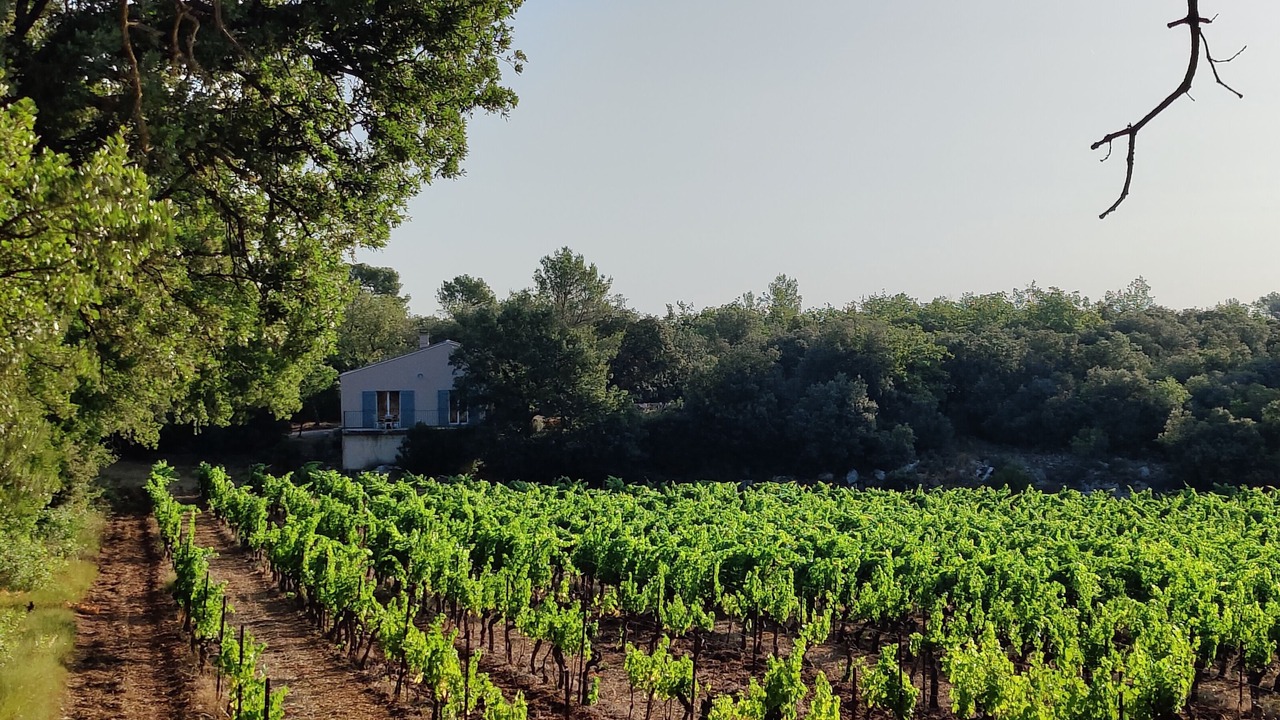 Photo of Others in Saint-Maximin-la-Sainte-Baume