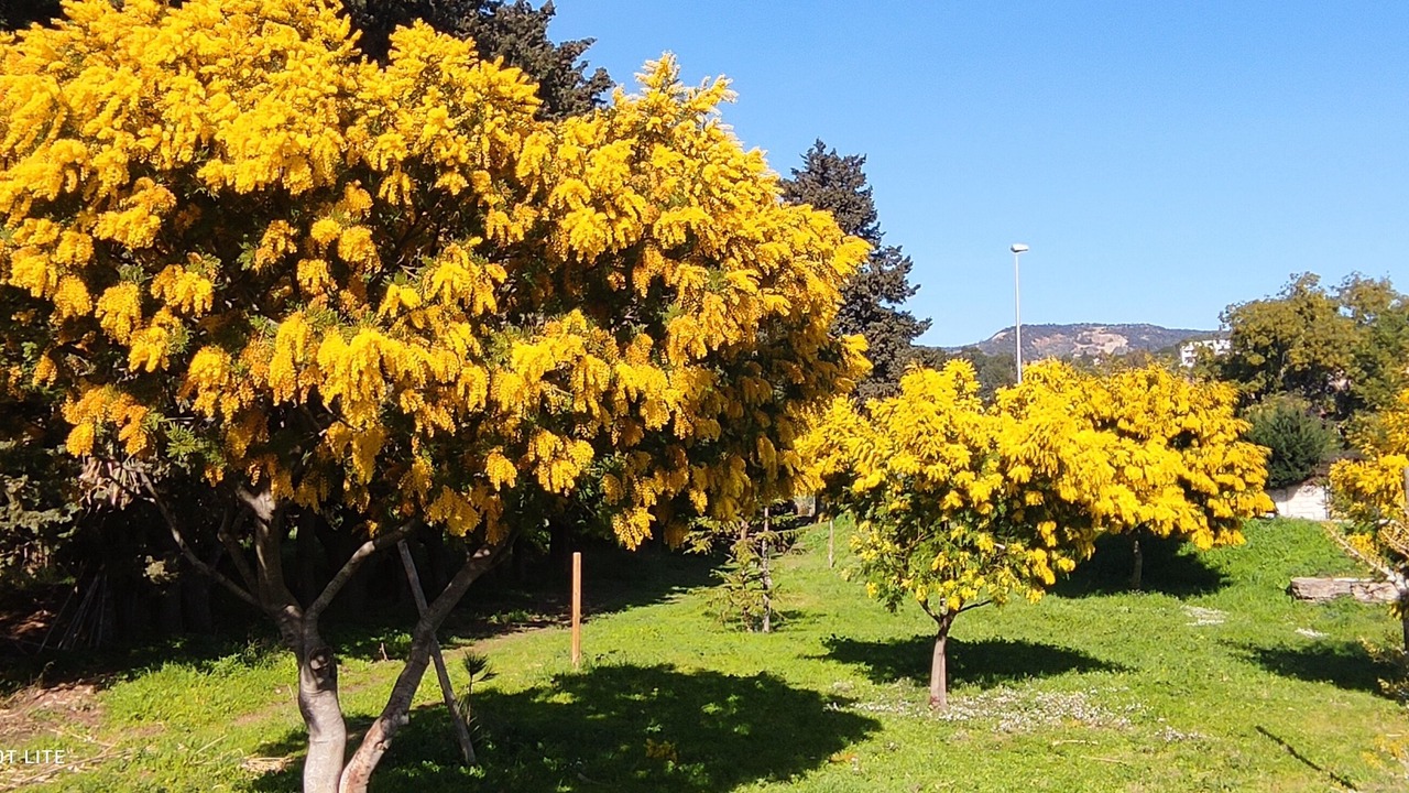 Photo of Outdoor in Montfort-sur-Argens