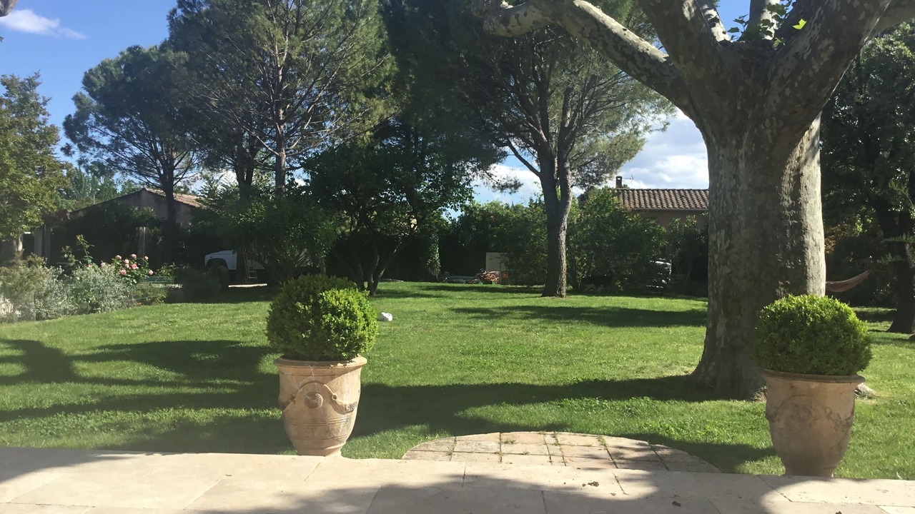 Photo of Outdoor in Orange