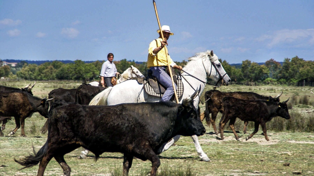 Photo of Others in Montfrin