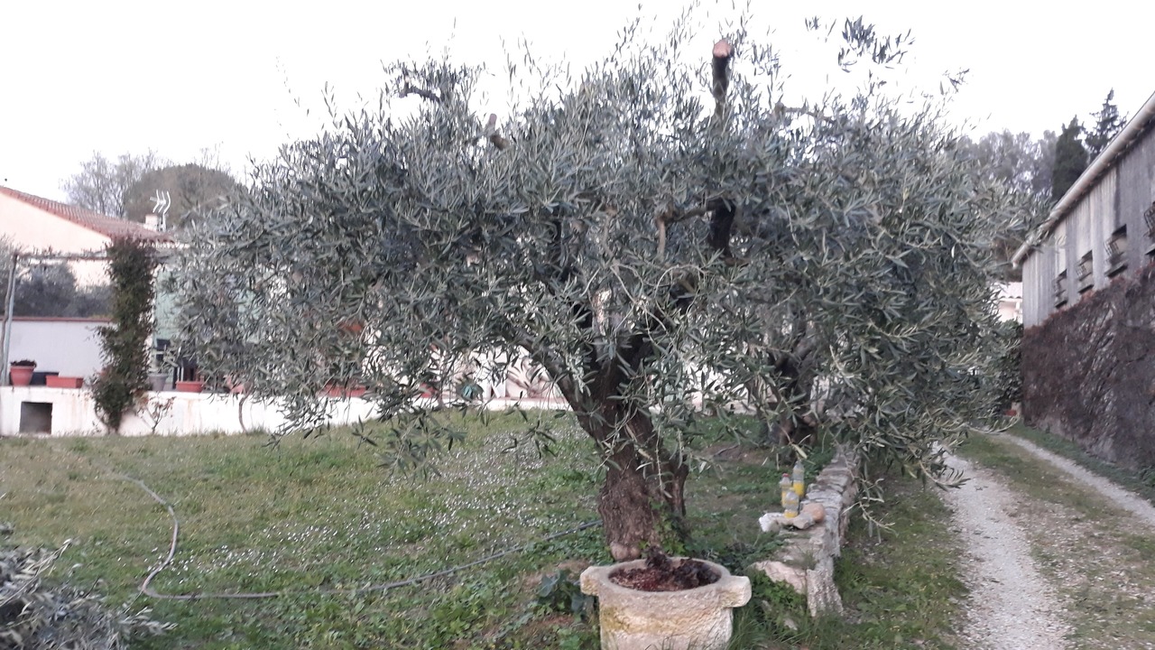 Photo of Outdoor in Montfrin