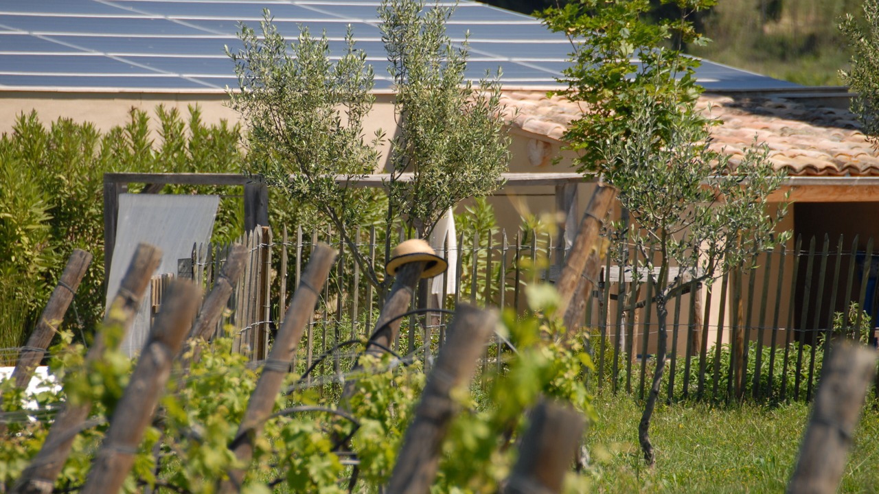Photo of Outdoor in Vaison-la-Romaine
