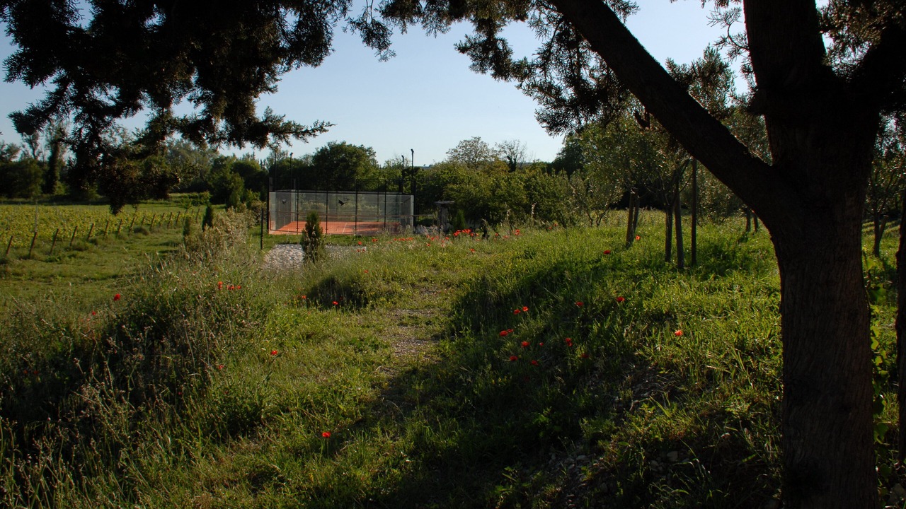 Photo of Outdoor in Vaison-la-Romaine